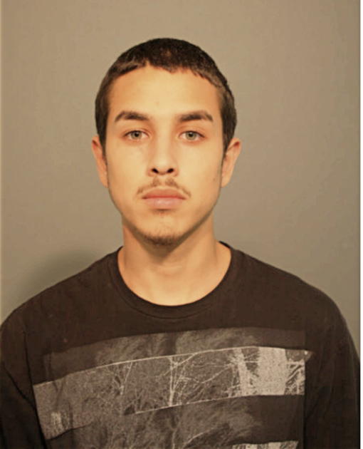 ADRIAN DAVID SEGURA, Cook County, Illinois