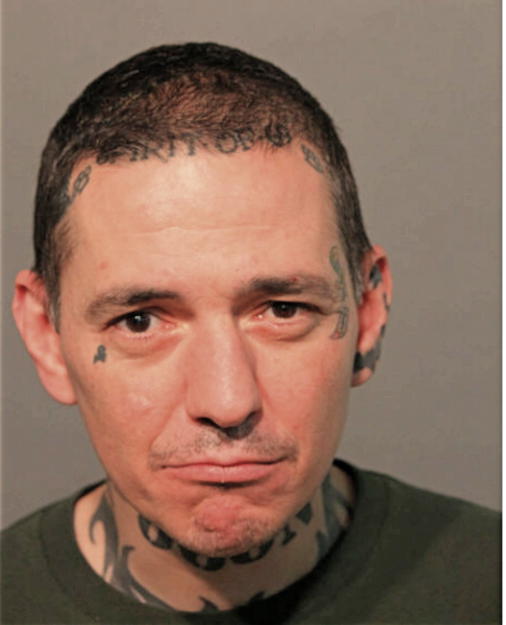 DAVID A SIMON, Cook County, Illinois