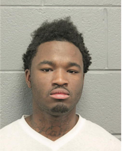 DERRICK D STEWART, Cook County, Illinois
