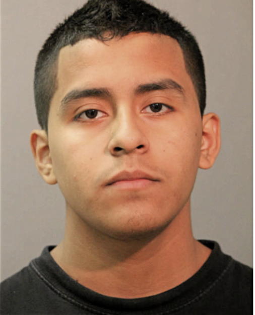 ELMER VIVERO, Cook County, Illinois