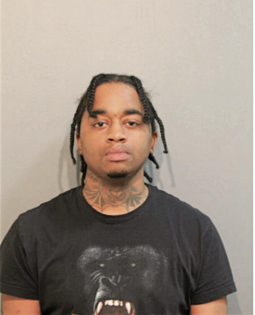 CALEB N WHITE, Cook County, Illinois