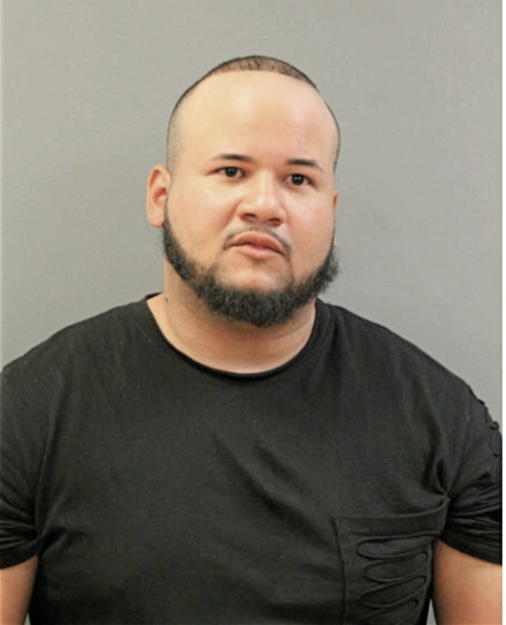 LUIS ALBERTO PAGAN-CEPEDA, Cook County, Illinois