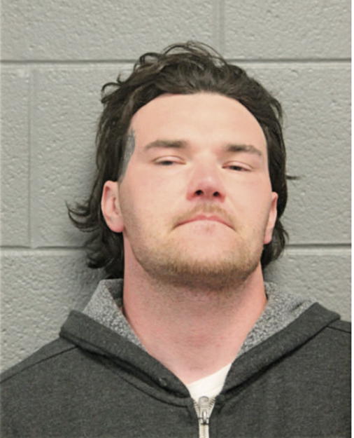 ADAM A AVIZIUS, Cook County, Illinois