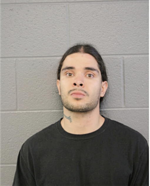 ROY G CORTEZ, Cook County, Illinois