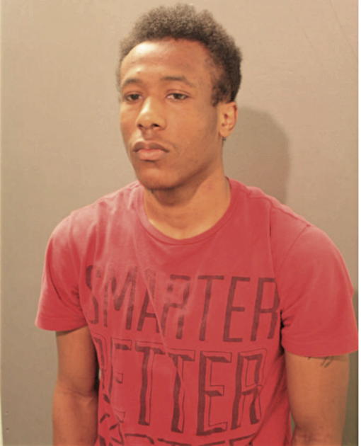 BRANDON L CRAYTON, Cook County, Illinois