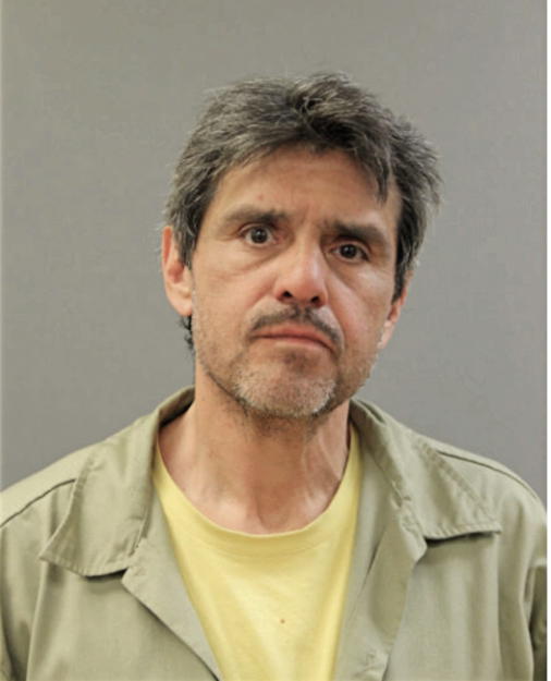 NICK C ESTRADA, Cook County, Illinois