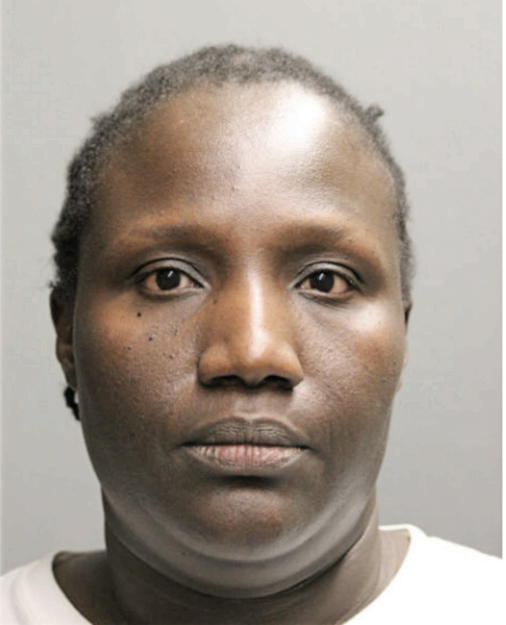 NDEYE F FALL, Cook County, Illinois