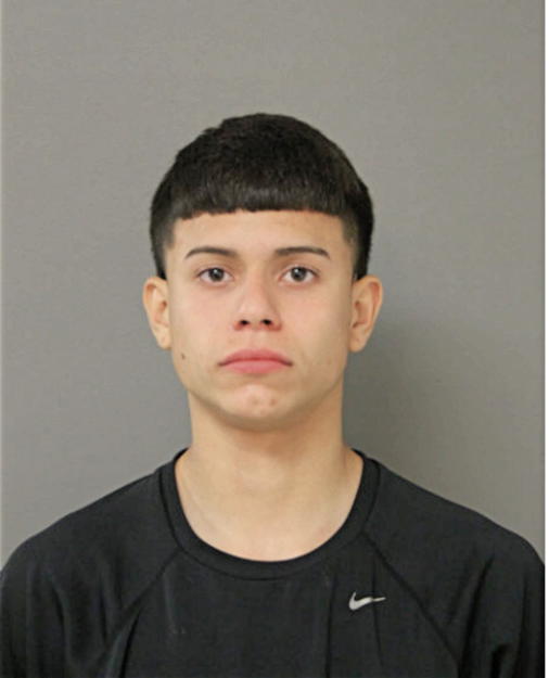DAMENICK J GARCIA, Cook County, Illinois