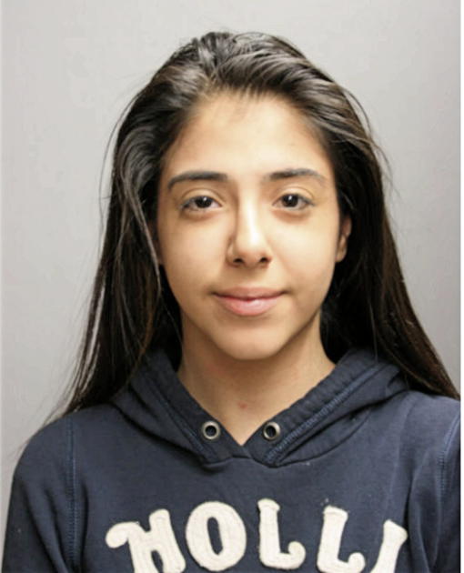 FLOR GARCIA, Cook County, Illinois