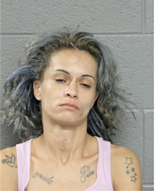 RENA M GARCIA, Cook County, Illinois