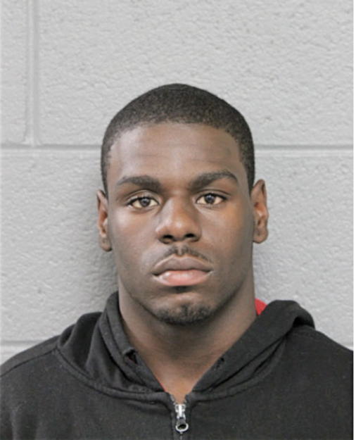 D'ANGELO D GARRETT, Cook County, Illinois