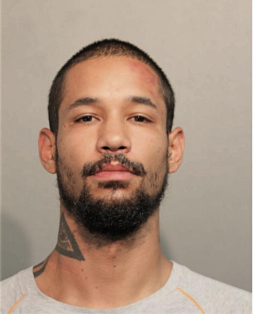 JAMIE R GREEN, Cook County, Illinois
