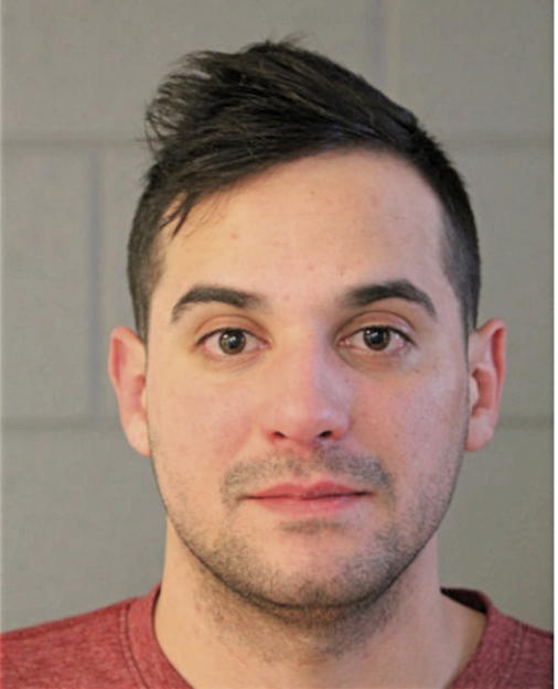 DAVID A HARRIGAN, Cook County, Illinois