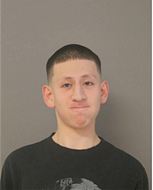 OSCAR O LAMADRID, Cook County, Illinois