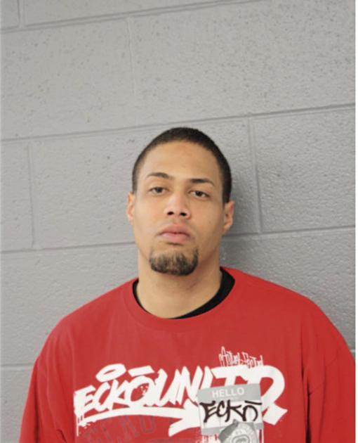 LUIS MIGUEL MILLAN, Cook County, Illinois