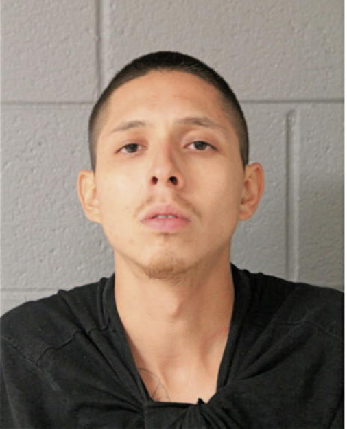 MOISES MORALES, Cook County, Illinois