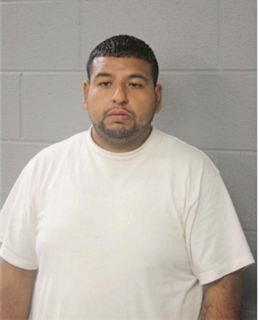 LUIS NAJERA, Cook County, Illinois