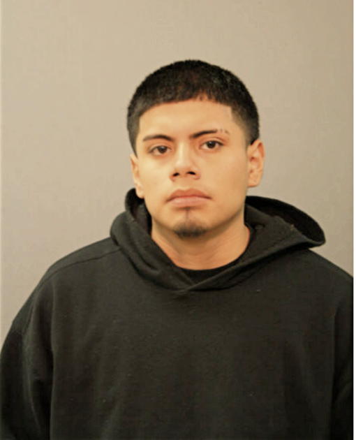 ALEJANDRO PERALTA, Cook County, Illinois