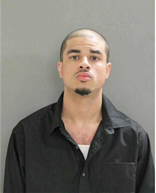 ANTHONY S SASSAN, Cook County, Illinois