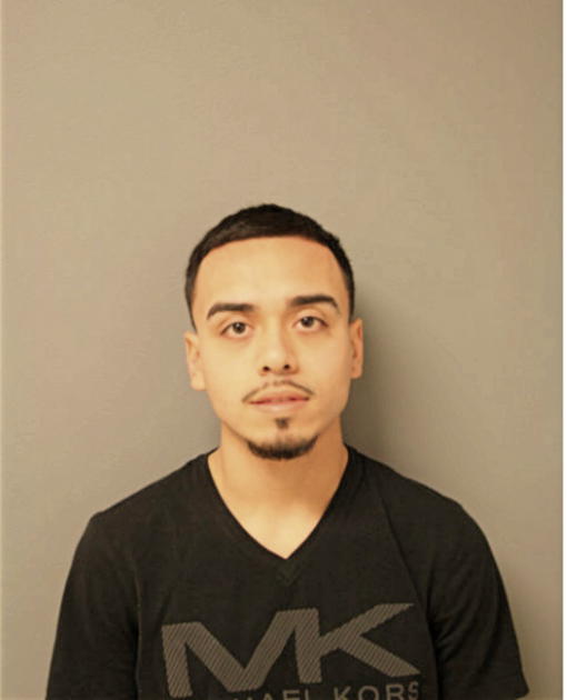 MANUEL VEGA, Cook County, Illinois