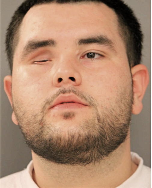 MATHEW A WERTSCHNIG, Cook County, Illinois