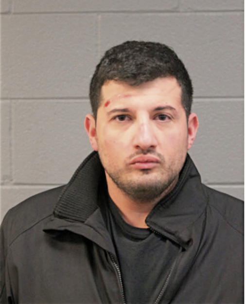 PETER O ABBASI, Cook County, Illinois