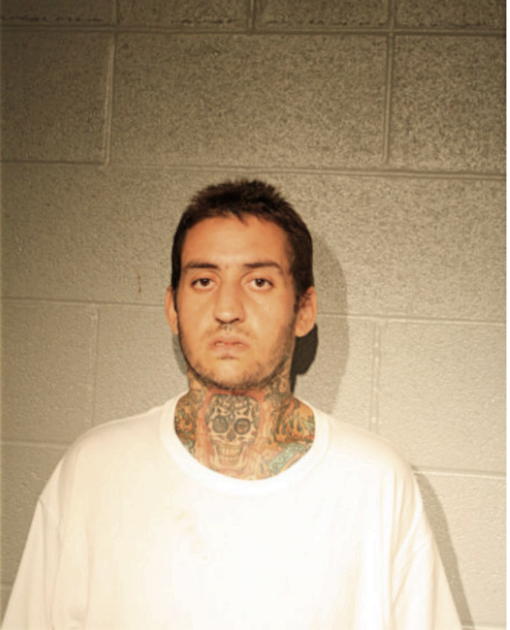SAMI AHMAD, Cook County, Illinois