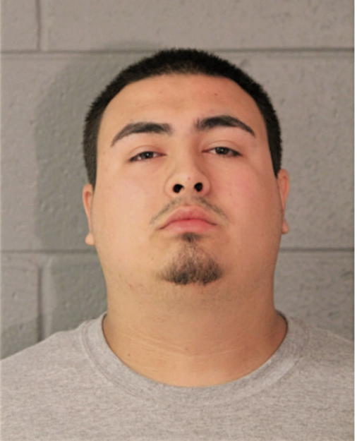 JUAN C ARRIAGA, Cook County, Illinois