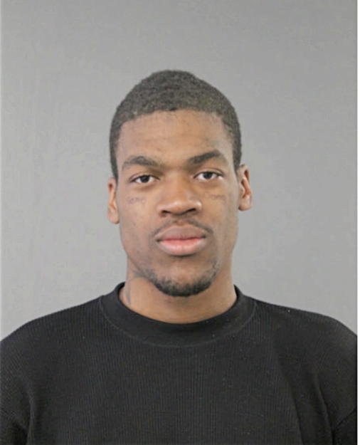 NICHOLAS A BROWN, Cook County, Illinois