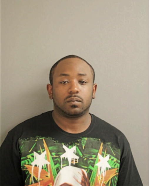 MICHAEL L COLLINS, Cook County, Illinois