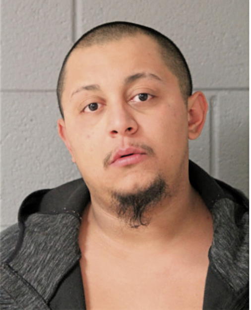 ROGELIO IGNACIO GONZALEZ, Cook County, Illinois