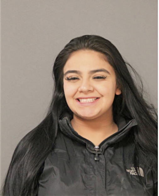 TIANA L GUZMAN, Cook County, Illinois