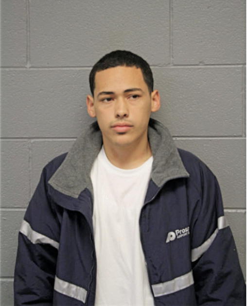 LUIS HERRERA, Cook County, Illinois