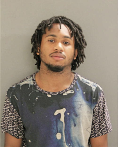 NATHAN L HILL, Cook County, Illinois