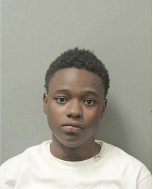TAMARA Q LEASON, Cook County, Illinois