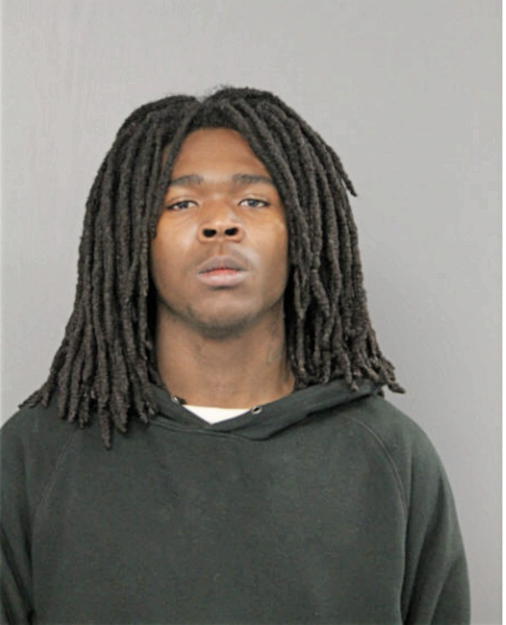 TRAVIS T MATTHEWS, Cook County, Illinois