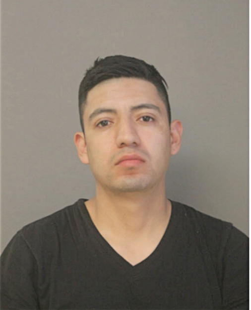 LEONARDO MENDOZA, Cook County, Illinois
