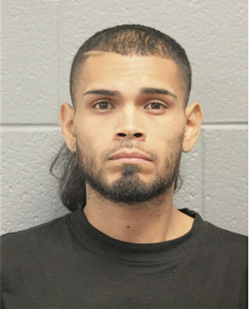 HUGO A PERALTA, Cook County, Illinois