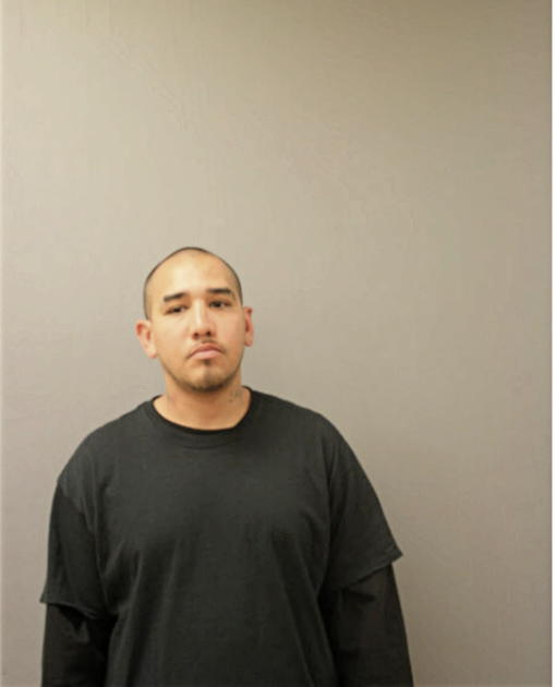ANTHONY R SANTANA, Cook County, Illinois