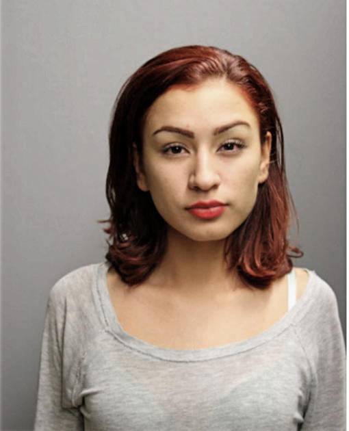 GUISELL SINALOA-MORALES, Cook County, Illinois