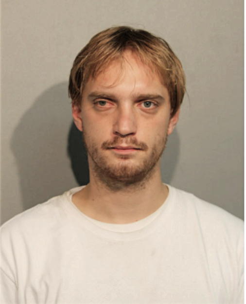 BRANDON M THIES, Cook County, Illinois