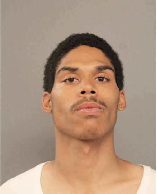 SEAN M TURNER, Cook County, Illinois