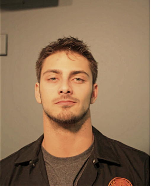 MICHAEL I VOLK, Cook County, Illinois