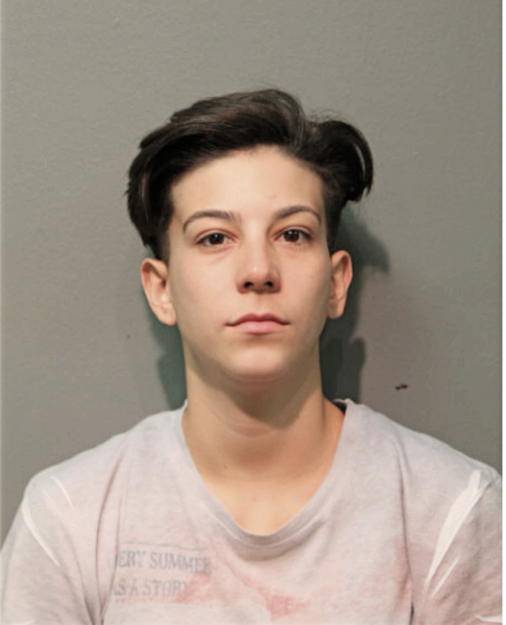 DESTINY M ARES, Cook County, Illinois