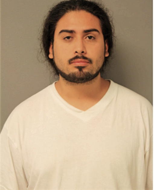 ROBERT D ARZOLA, Cook County, Illinois