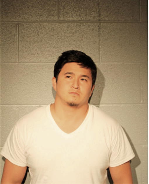 NURBEK BIBOSUNOV, Cook County, Illinois