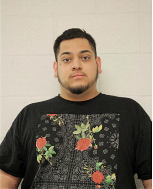 NICOLAS A FLORES, Cook County, Illinois