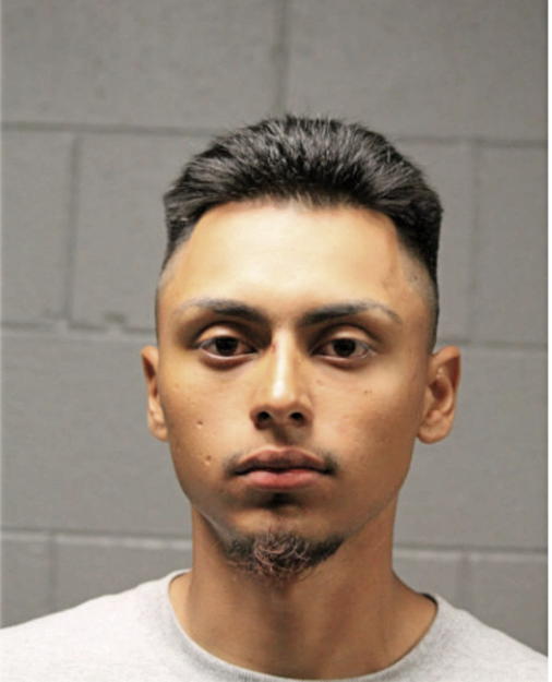 RICHARD M FLORES, Cook County, Illinois