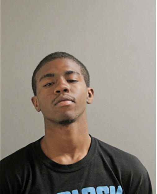 LOUIS N FOSTER, Cook County, Illinois