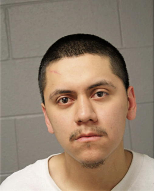 CESAR FUERTE, Cook County, Illinois